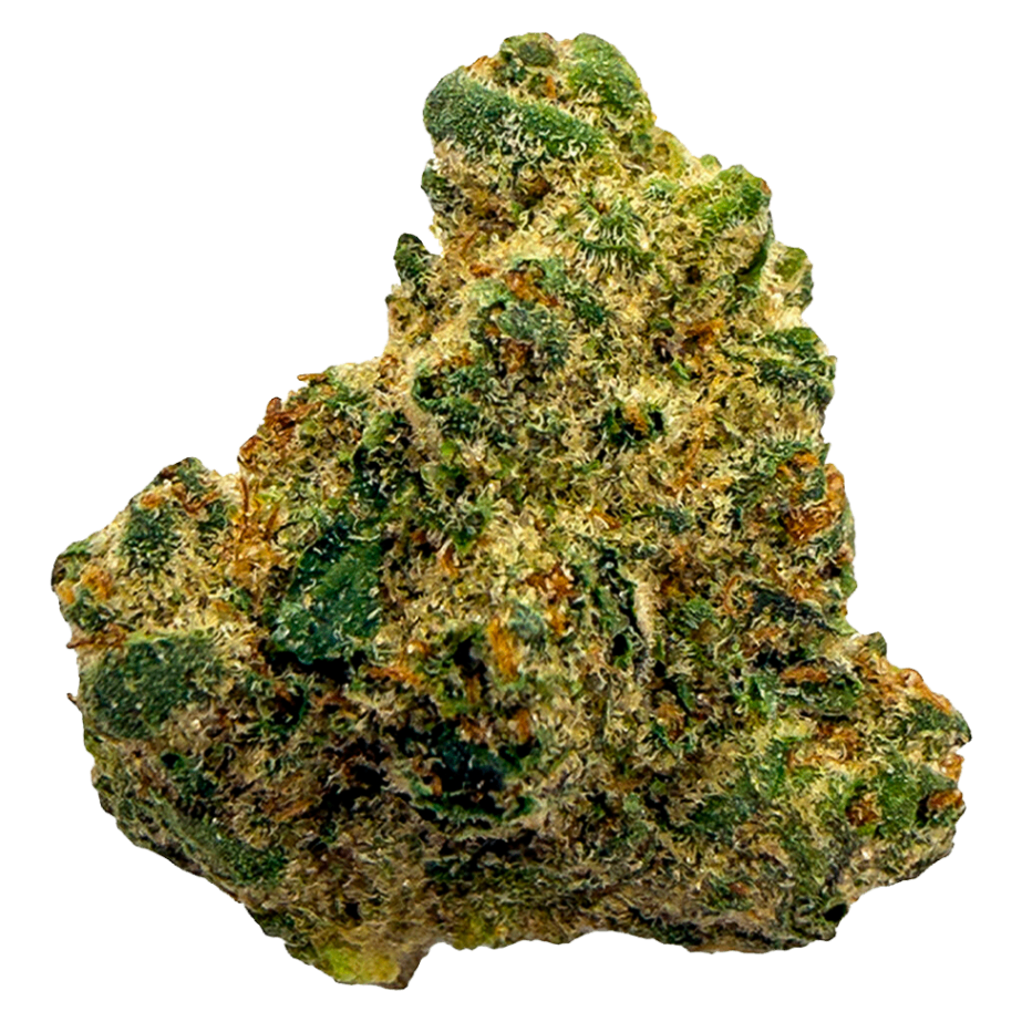 Everday - Northern Lights